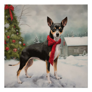Poster Chien Rat Terrier dans la neige Noël