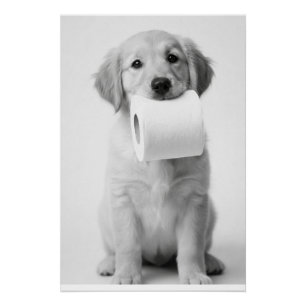 Poster Chien retriever doré minimaliste et amusant Papier