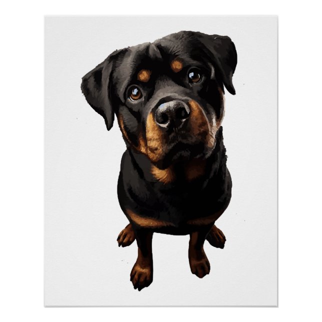 Poster chien rottweiler (Devant)
