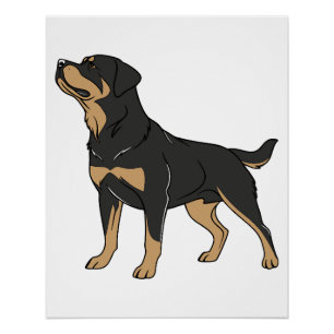 Poster Chien Rottweiler, Chien Rottweiler Debout