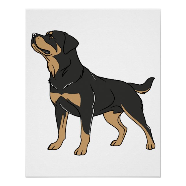 Poster Chien Rottweiler, Chien Rottweiler Debout (Devant)
