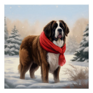 Poster Chien Saint-Bernard dans la neige de Noël