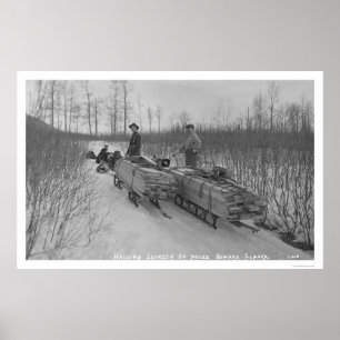 Poster Chien Seward, Alaska 1917 de bois de charpente