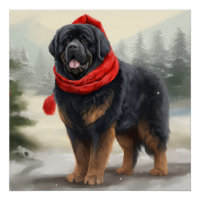 Chien tibétain mastiff à Noël de neige