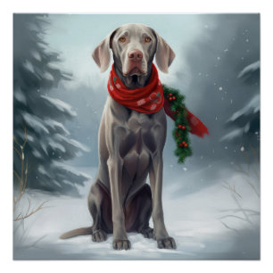 Poster Chien Weimaraner à Noël de neige