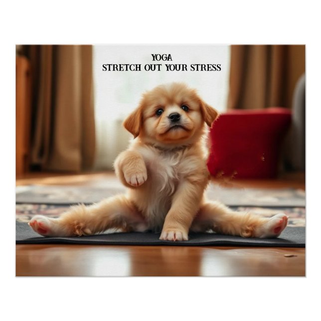 Poster Chien Yoga (Devant)