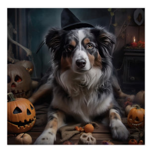 Poster Chiens de Berger Australien Citrouilles Halloween