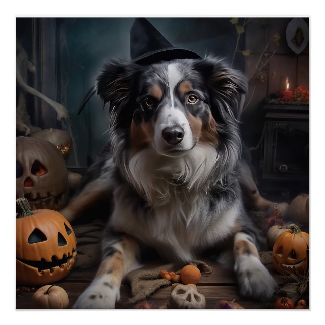 Poster Chiens de Berger Australien Citrouilles Halloween  (Devant)