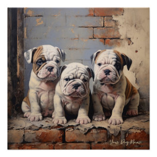 Poster Chiens de chiot Bulldog conviviaux 003 - Raimon Pa