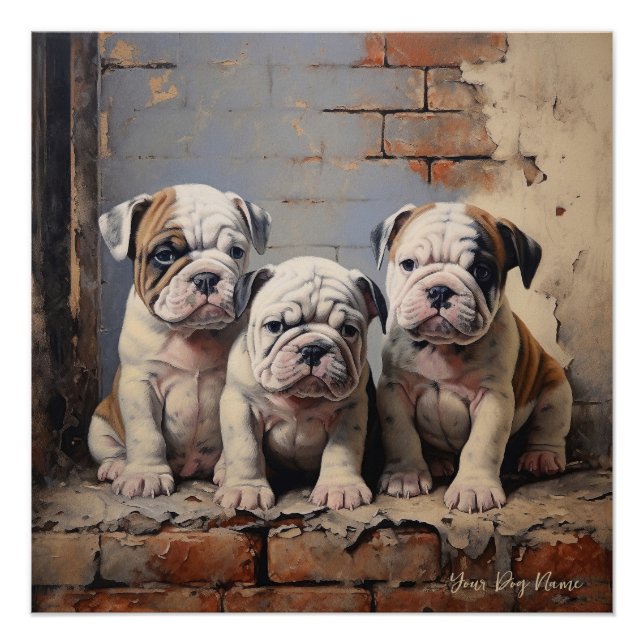 Poster Chiens de chiot Bulldog conviviaux 003 - Raimon Pa (Devant)