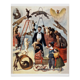 Poster Chiens de cirque, illustration vintage,