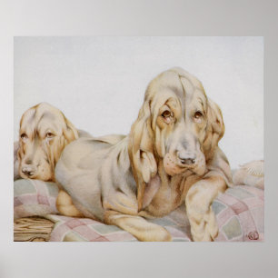 Poster Chiens de sang mignons vintage, chiots par EJ Detm
