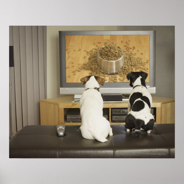 Poster Chiens regardant un plat de chien avec de la nourr (Devant)