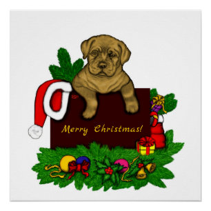 Poster Chiffre XMas