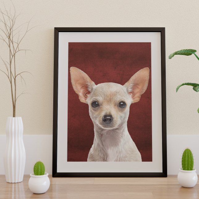 Poster Chihuahua (Créateur téléchargé)