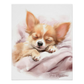 Poster Chihuahua Chig 005, chihuahua, chiot dormant d'ang