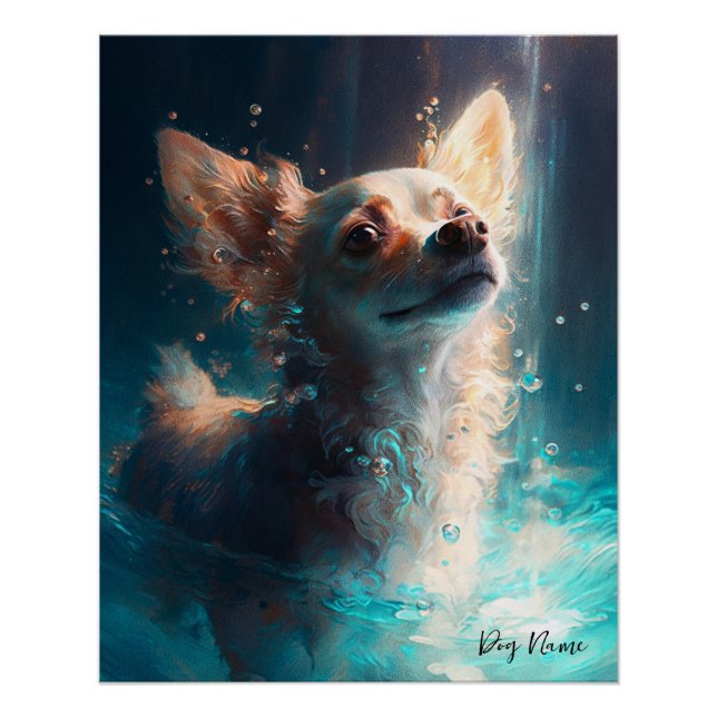 Poster Chihuahua dog swimming in water 005 (Devant)