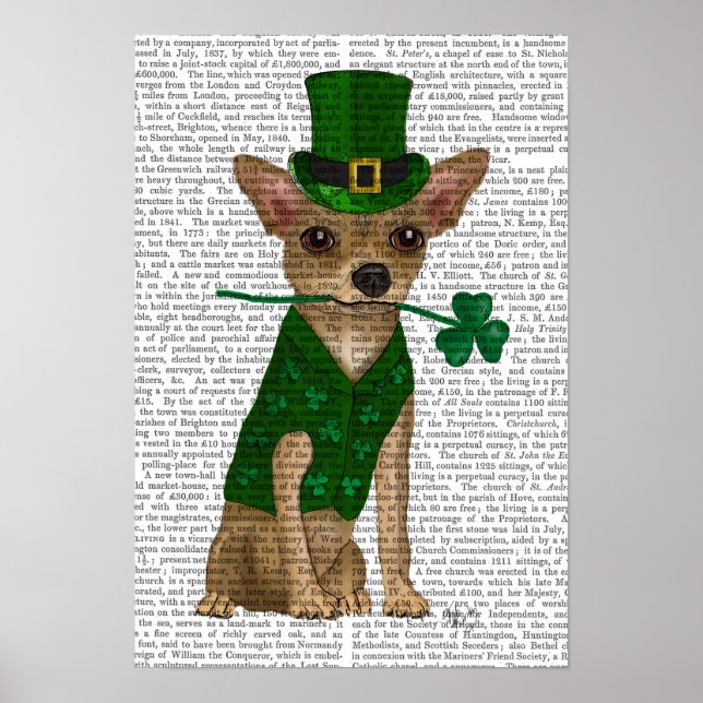 Poster Chihuahua Leprechaun (Devant)