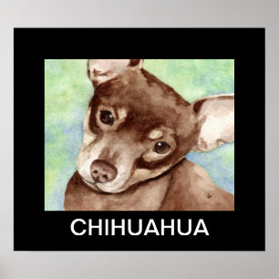Poster Chihuahua Portrait