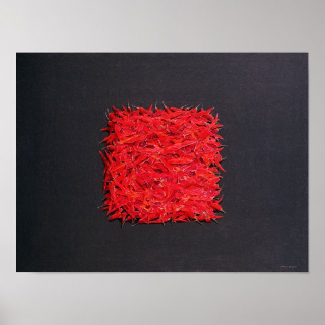 Poster Chillies (Devant)