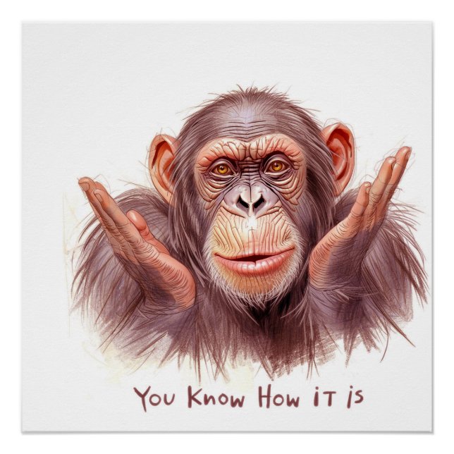 Poster Chimp Telling You :"You Know How It Is" (Devant)