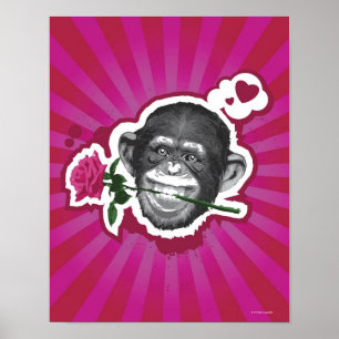 Poster Chimpanzé avec un rose dans sa bouche