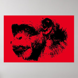 Poster Chimpanzé noir et rouge