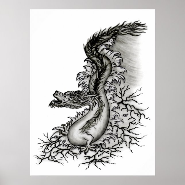 Poster Chine-Drache (Devant)
