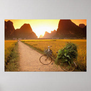 Poster Chine, Guangxi. Yangzhou, Bicyclette à la campagne