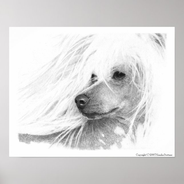 Poster Chinese Crested Dog (Devant)