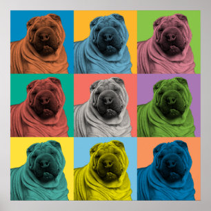 Poster chinois Shar-Pei Pop-Art
