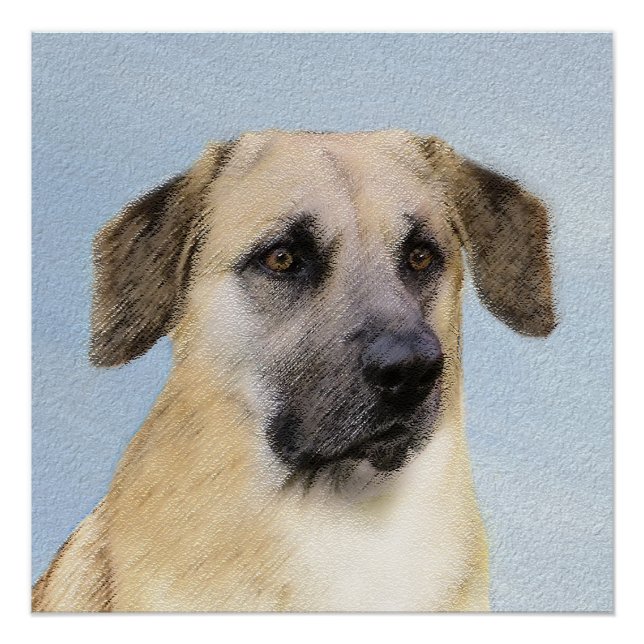 Poster Chinook (Oreilles Laissées) Peinture - Art Chien o (Devant)