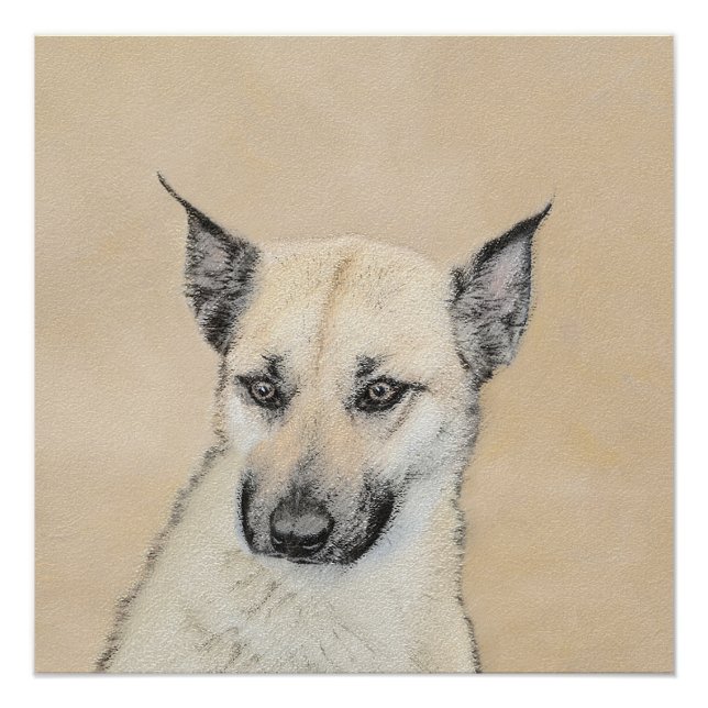 Poster Chinook (Oreilles Pointées) Peinture - Art Chien o (Devant)