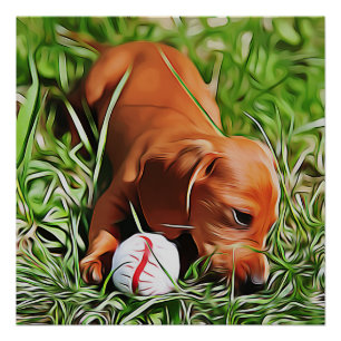 Poster Chiot Dachshund Posé Dans L'Herbe Avec Ball Xmas P
