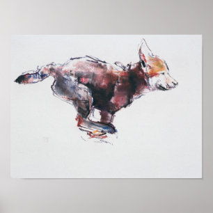 Poster Chiot de loup courant