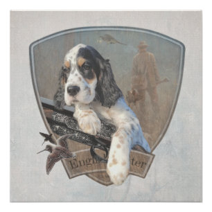 Poster Chiot de Setter anglais avec fusil de chasse class