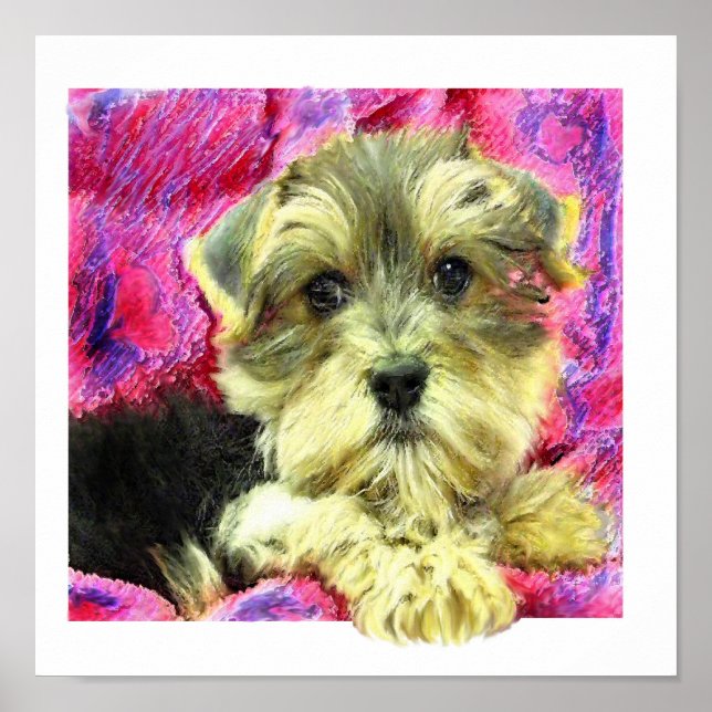 Poster chiot morkie (Devant)