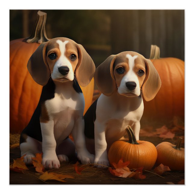 Poster Chiots Beagle Autumn Delight Citrouille (Devant)