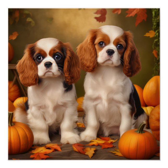 Poster Chiots Cavalier King Charles Spaniel Automne Citro (Devant)