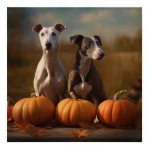 Poster Chiots Greyhound Délice d'Automne Citrouille