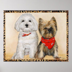Poster Chiots maltais et de Yorkie