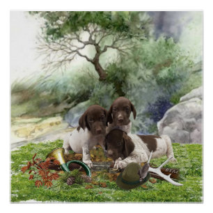 Poster Chiots mignons à poignets allemands