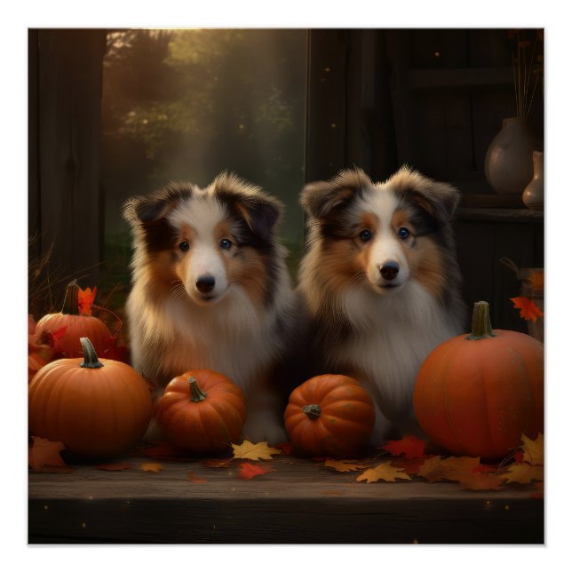 Poster Chiots Rough Collie Délice d'Automne Citrouille  (Devant)