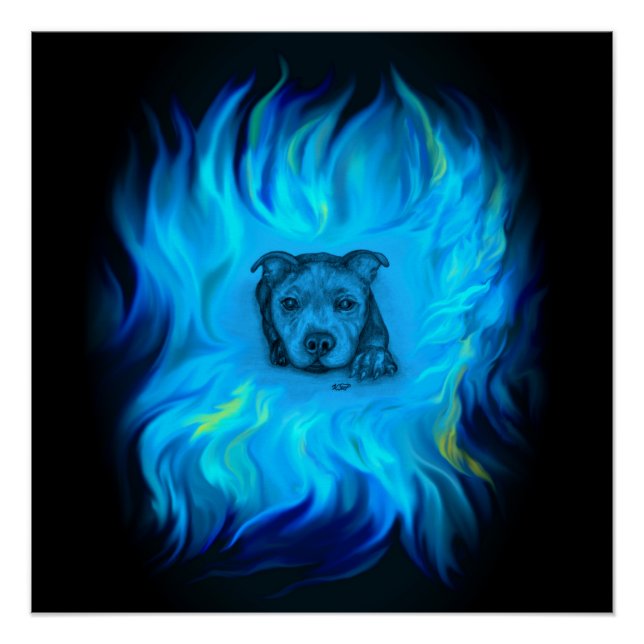 Poster Chiots Staffy Bleu (Devant)