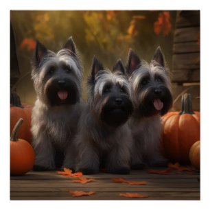 Poster Chiots Terrier Skye Automne Délice Citrouille