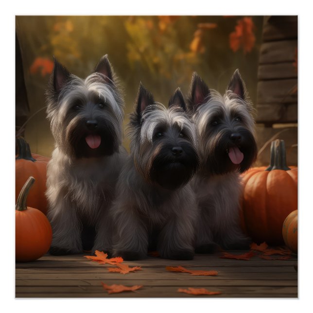 Poster Chiots Terrier Skye Automne Délice Citrouille (Devant)