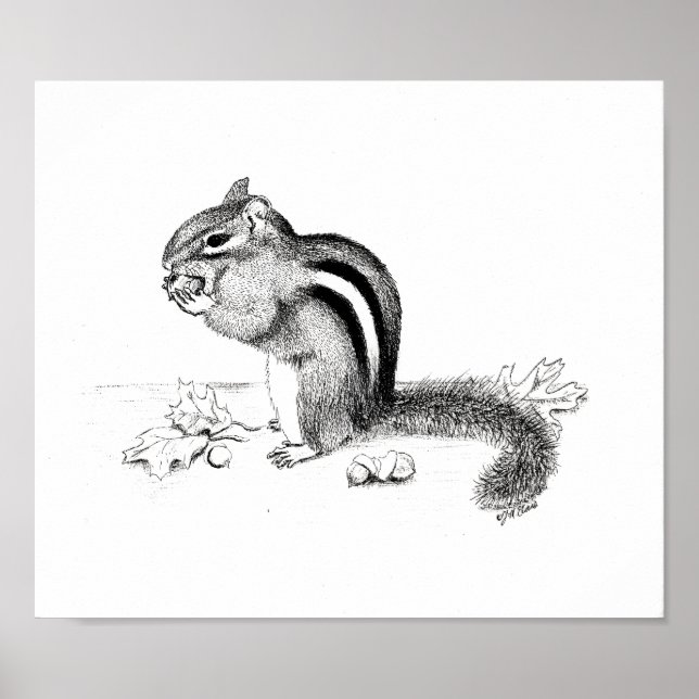Poster Chipmunk et Acorns (Devant)