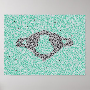 Poster Chiropractic Anatomy Artwork Cervical Vertebrae