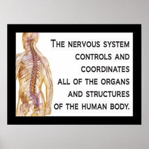 Poster Chiropractic Nerves Citation Personnaliser de l'af