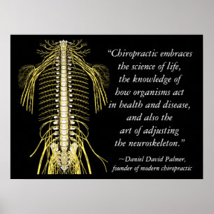 Poster Chiropractic Quotes & Sayings DD Palmer